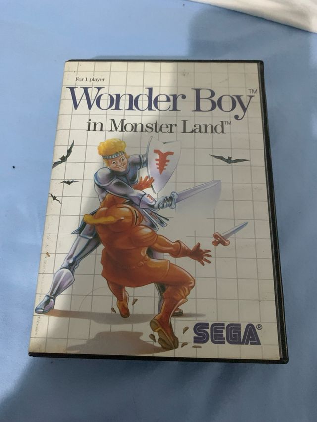 Wonder boy in monster land