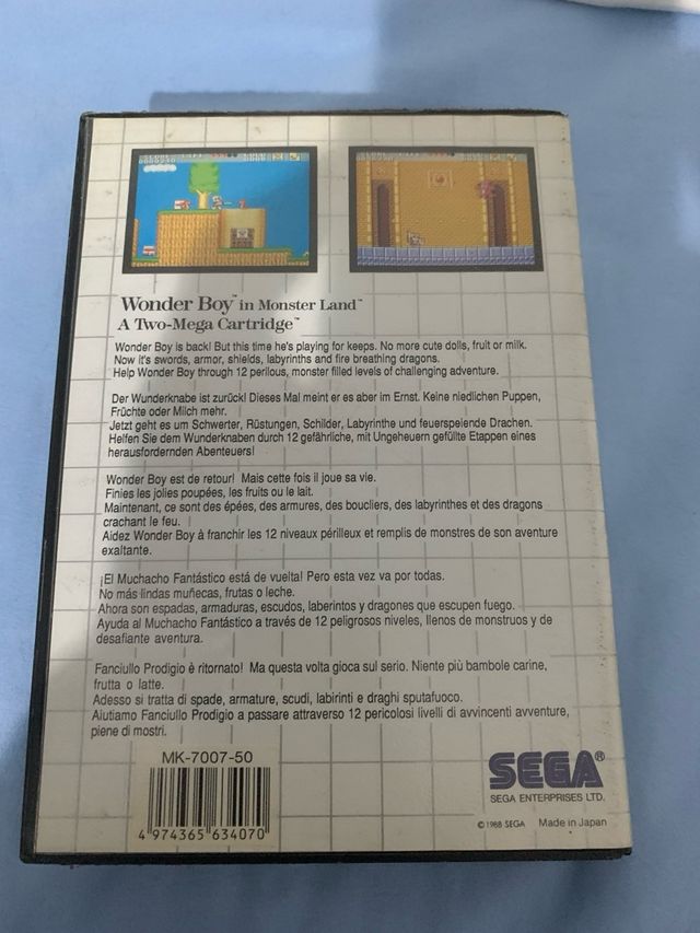 Wonder boy in monster land