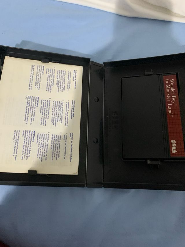 Wonder boy in monster land