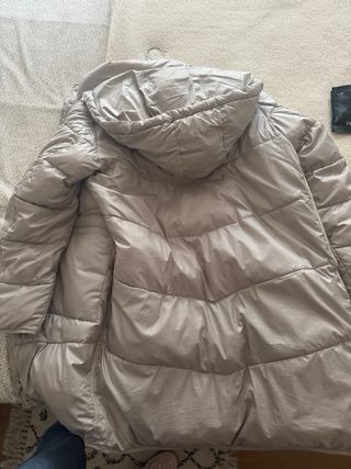 Plumifero systemaction