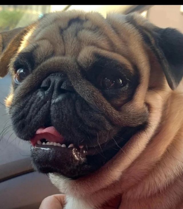 Limpieza y cuidados Castelldefels