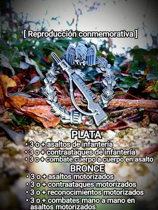 Medalla Asalto Infantería Alemana WWII