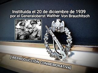 Medalla Asalto Infantería Alemana WWII