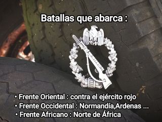 Medalla Asalto Infantería Alemana WWII