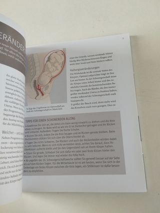 Yoga in der Schwangerschaft (+ DVD)