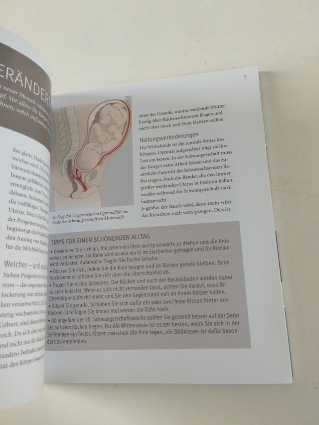 Yoga in der Schwangerschaft (+ DVD)