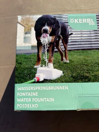 fontanella giocattolo per cani