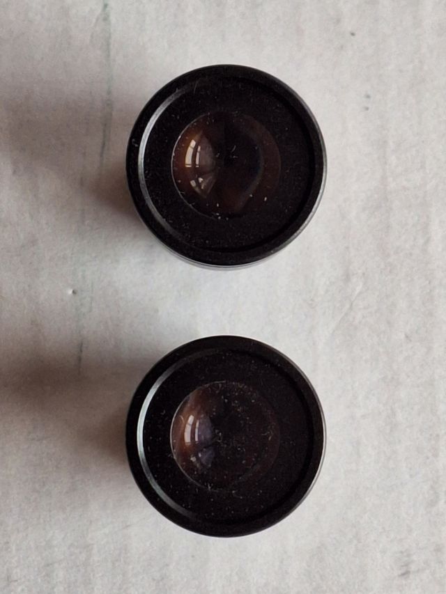 2 Oculari WF10X Microscopio