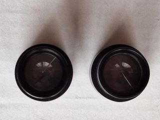 2 Oculari WF10X Microscopio