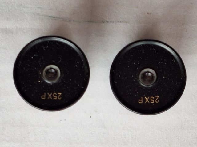 2 Oculari Microscopio 25XP