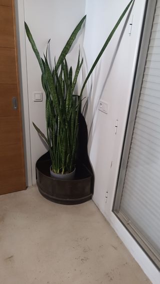 Jardinera de esquina elaborada en bronce