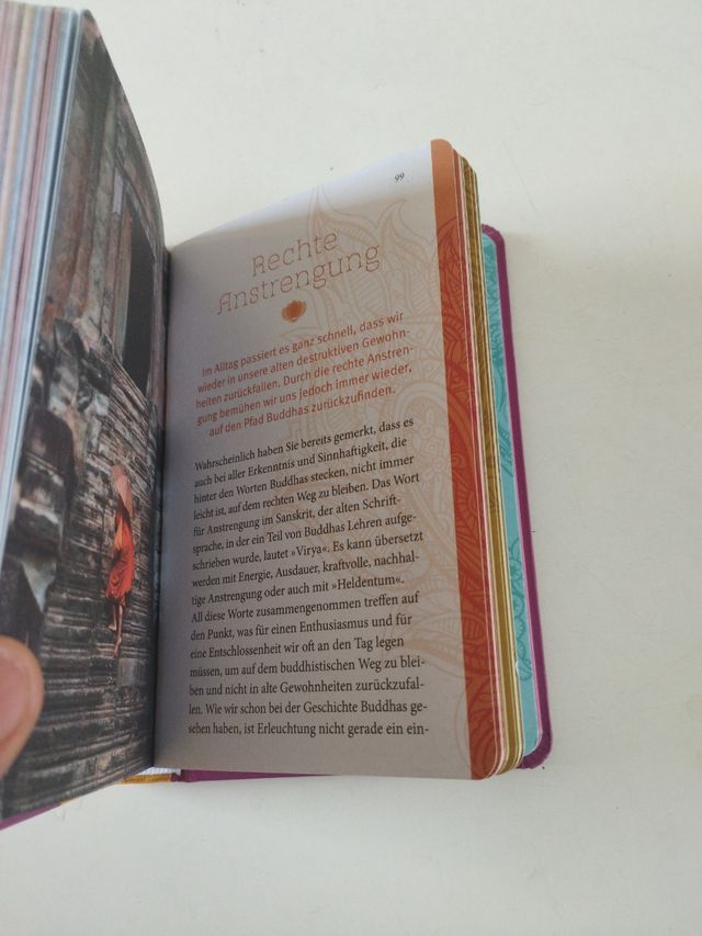 Der kleine Alltagsbuddhist