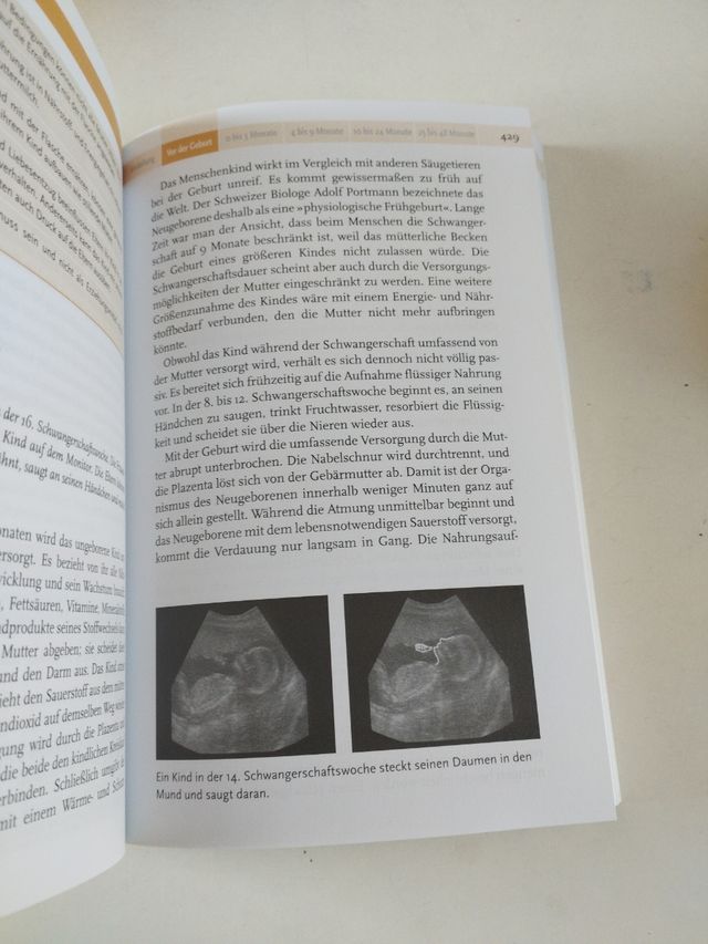 Babyjahre: Entwicklung und Erziehung in den ers...