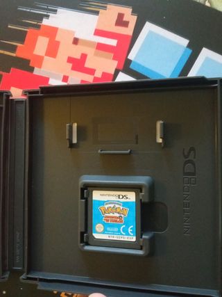 Pokemon aventura entre las teclas DS
