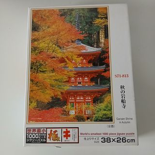 Puzzle de 1000 piezas