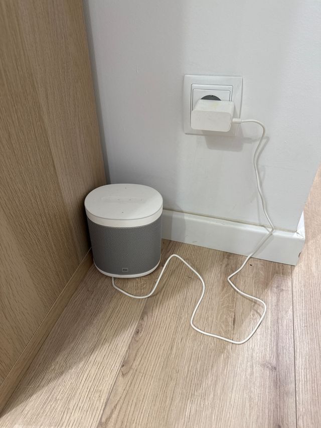 Asistente Altavoz Google