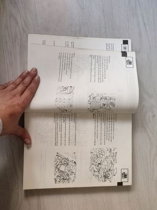 Manual Reparacion Renault 6 (R1182-R1185)