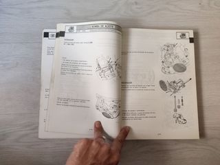 Manual Reparacion Renault 6 (R1182-R1185)