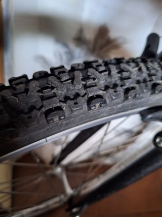 Bicicleta BH Top Line ALU 200 by Brian Montgomery 