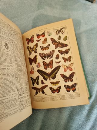 Diccionario Enciclopédico ilustrado.