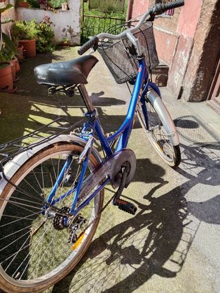 Bicicleta Artar paseo