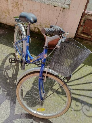 Bicicleta Artar paseo