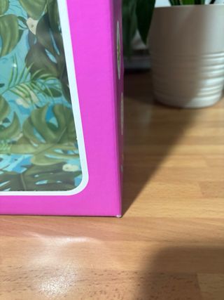 Caja vacía de la  muñeca Nancy Frida Kahlo