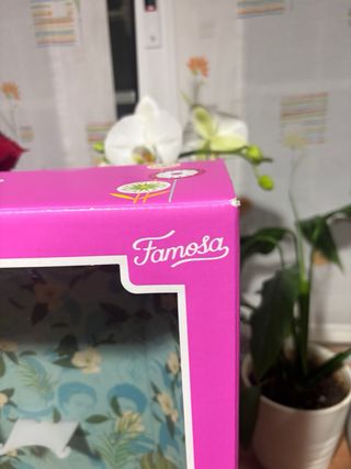 Caja vacía de la  muñeca Nancy Frida Kahlo