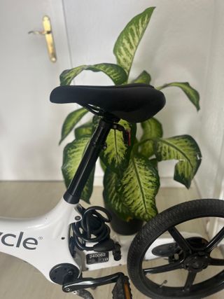 Bicicleta Gocycle G2