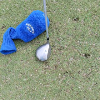 Palo de golf de señora