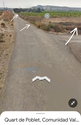 Terreno para pasear a tu mascota
