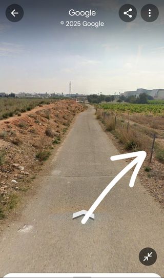 Terreno para pasear a tu mascota