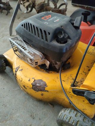 Cortacésped Gasolina Viking - Jardín