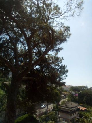 Terreno en venta en Dosrius