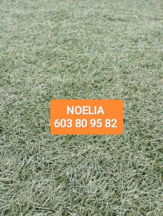 Césped artificial reciclado