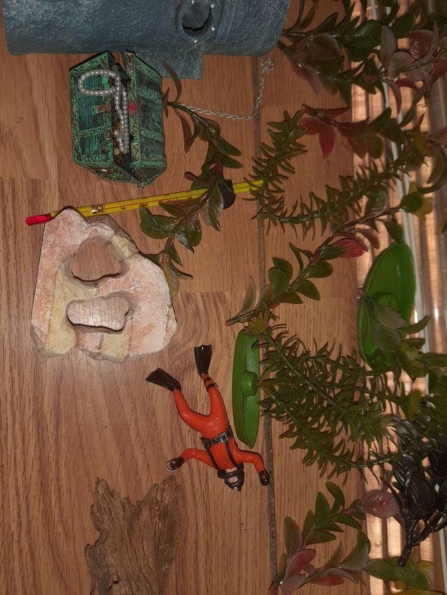 Decoración acuario y termómetro 