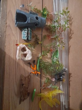 Decoración acuario y termómetro