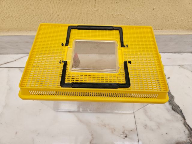 Acuario plástico pequeño amarillo