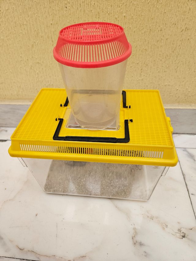 Acuario plástico pequeño amarillo