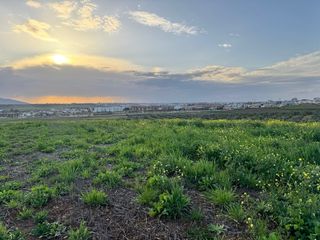 PRECIOSA FINCA EN BODEGONES