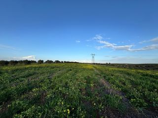 PRECIOSA FINCA EN BODEGONES