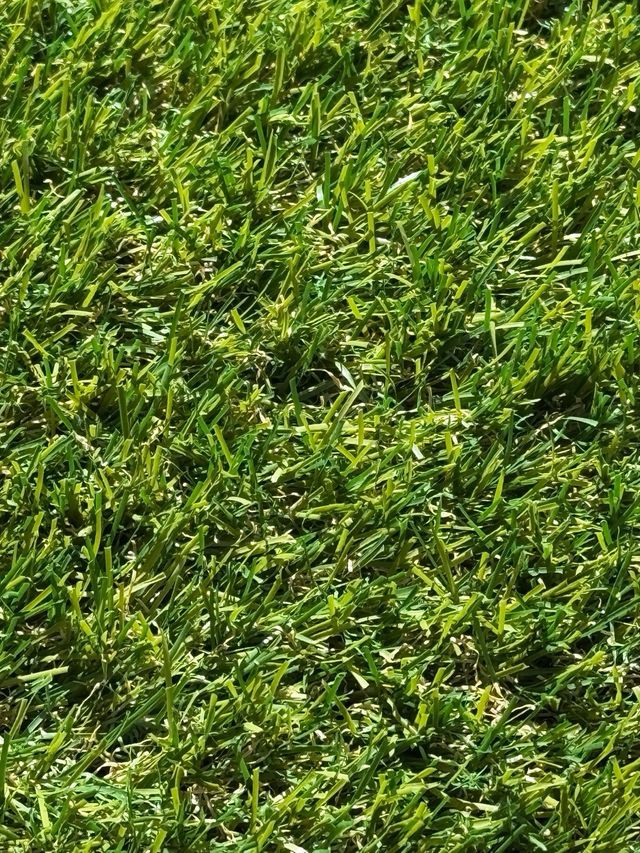 Cesped artificial 3cm nuevo