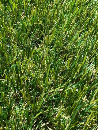 Cesped artificial 3cm nuevo