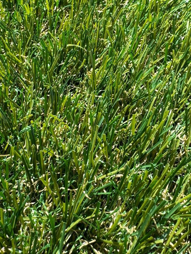 Cesped artificial 3cm nuevo