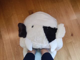 Scaldapiedi