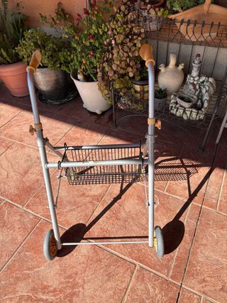 Andador con cesta