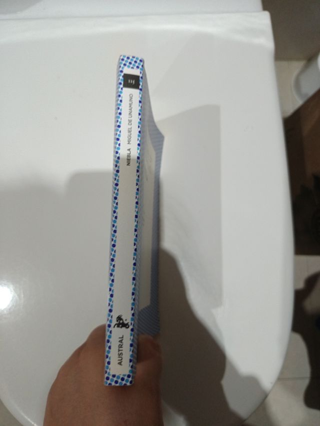 Niebla: Edición de Germán Gullón. Guía de lectu...