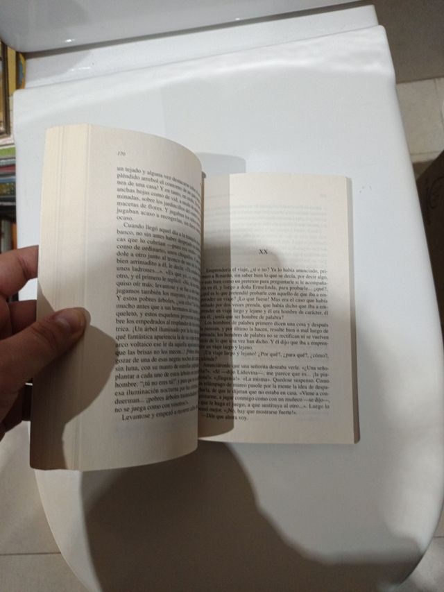 Niebla: Edición de Germán Gullón. Guía de lectu...