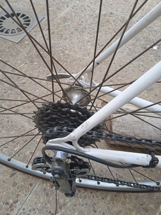 Bicicleta Orbea Moncayo