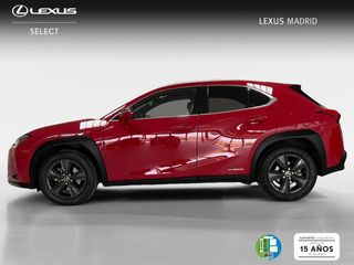 Lexus UX 2.0 250h Business